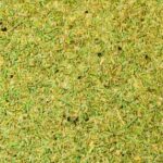 Rosemary Garlic Rub